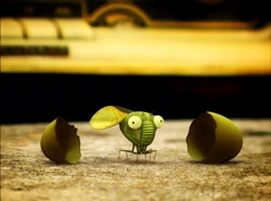 خیلی خیلی کوچک (1) (زنجره ی برزیل)